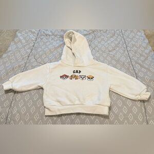 Paw Patrol Hoodie for Toddler.